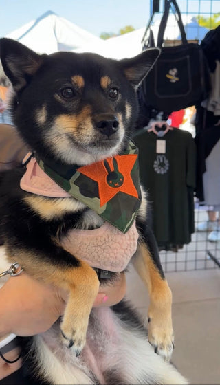 Star Bunny Camo Bandana PREORDER